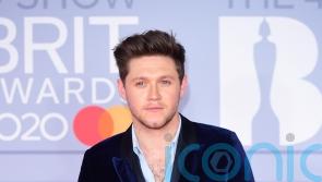 Niall Horan says he was afraid to go out after being chased by One Direction fans