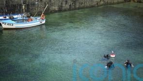 Divers off Cornwall join global effort to clean seas for World Oceans Day