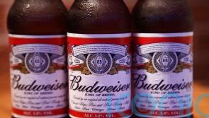 Budweiser renews Fifa deal to 2026 despite World Cup stadium beer ban in Qatar