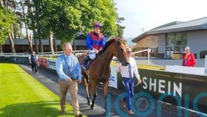 Buttons fits the bill for O’Brien and Moore at Leopardstown