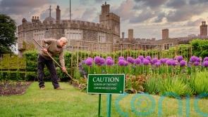 Visitors told to experience historic sites with senses as phones ‘overstimulate’