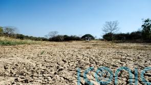 What is El Nino and what impact might it have?