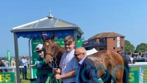 Bombay Bazaar swoops late for Beverley honours