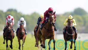 Novakai primed for French Classic mission