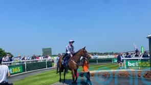 Midnight Affair strikes Hilary Needler gold at Beverley