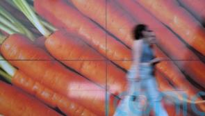 Pasta protest urged in Italy as food prices boil over