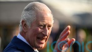 King to join birthday parade on horseback this weekend
