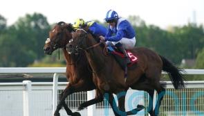 Conditions crucial for Hukum&rsquo;s Royal Ascot challenge