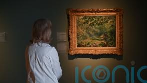 Renoir painting a first for public collection in Northern Ireland