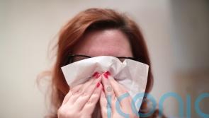People seek hay fever advice once every three seconds, says NHS England