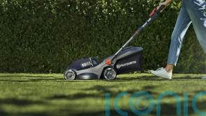 5 of the best lawnmowers