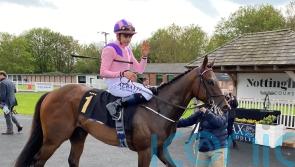 Thunderbear ready to roll at Ascot