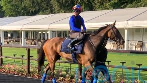 Inspiral giving the right signals ahead of Queen Anne return