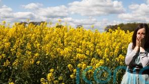 7 hay fever hacks to ease your symptoms this summer