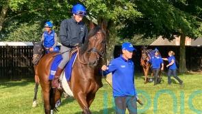 Adayar raring to go in search of Prince of Wales’s Stakes gold