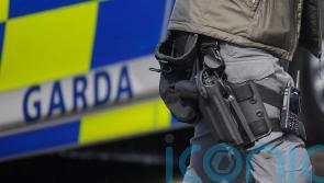 Seven men arrested in garda operation targeting gangs in Mayo and Galway