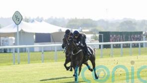 Australian speedsters enjoy a taste of Ascot in the sunshine