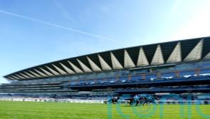 British Horseracing Authority refuses to give in to demands of activists