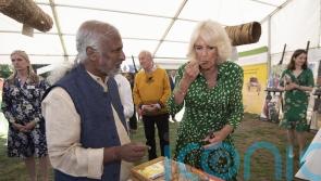 Camilla stamps ‘Queen Bee’ on paper art installation at beekeeping charity event