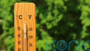 The dos and don’ts of looking after your garden in a heatwave