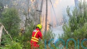 Firefighters tackle wildfires across South Wales as service is ‘inundated’