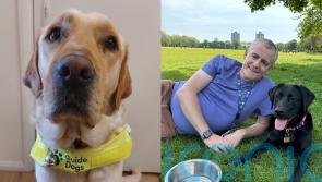 Manager with HIV who felt ‘shame’ and had £70,000 of debt after addiction ‘escalated’ says Guide Dogs changed their life
