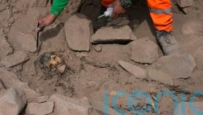 Archaeologists find mummy covered in coca leaves and bound with rope