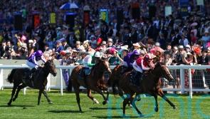 Bradsell spearheading Royal Ascot squad for Archie Watson