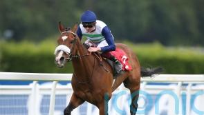 Coltrane remains on course for Gold Cup challenge