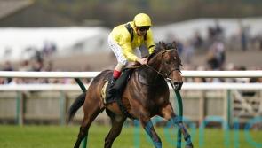 Tajalla seeking to take next step up the sprinting ladder