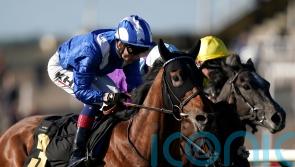 Jersey Stakes consideration for smart prospect Enfjaar