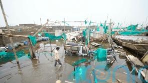 Thousands begin journey home as Cyclone Biparjoy recedes