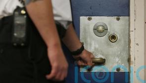 Tories bid to halt ‘dangerous plans’ they claim would reduce prison sentences