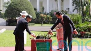 Japanese Emperor meets Indonesian leader on third day of official visit