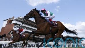 Late setback rules Laurel out of Duke of Cambridge engagement