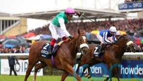 Chaldean all set for Royal Ascot clash of the Classic winners