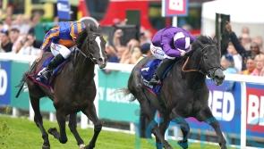 Amo looking to King Of Steel for Ascot breakthrough