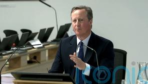 Too much time spent preparing for flu rather than coronavirus pandemic – Cameron
