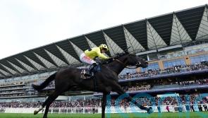 Royal Champion victory one to savour for Jack Mitchell