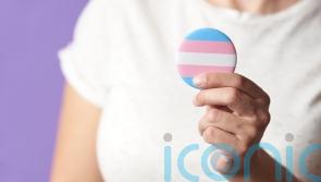 How can I be a better ally to trans people right now?