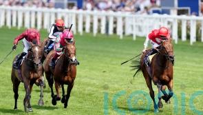 Rogue Millennium stars in Duke of Cambridge success