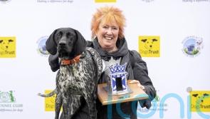 MSP launches Bill to end ‘wretched conditions’ for dogs from puppy farms