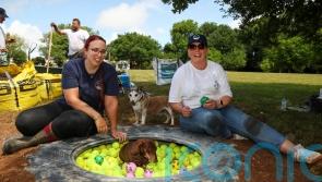 Lottery winners get stuck in creating herb garden at dog ‘retirement home’