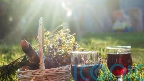 6 super reds to sip in the sunshine