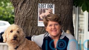 Clare Balding to host new programme seeking to find the UK’s missing dogs