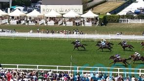 Valiant Force produces 150-1 Norfolk Stakes surprise