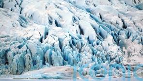 Extreme weather may push ecosystems into collapse ‘much sooner’ than thought