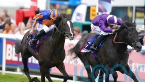 King Of Steel seeking Royal Ascot compensation