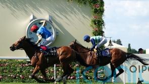 Dettori and Courage Mon Ami land brilliant Gold Cup victory