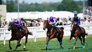 No excuses for Little Big Bear’s Ascot eclipse